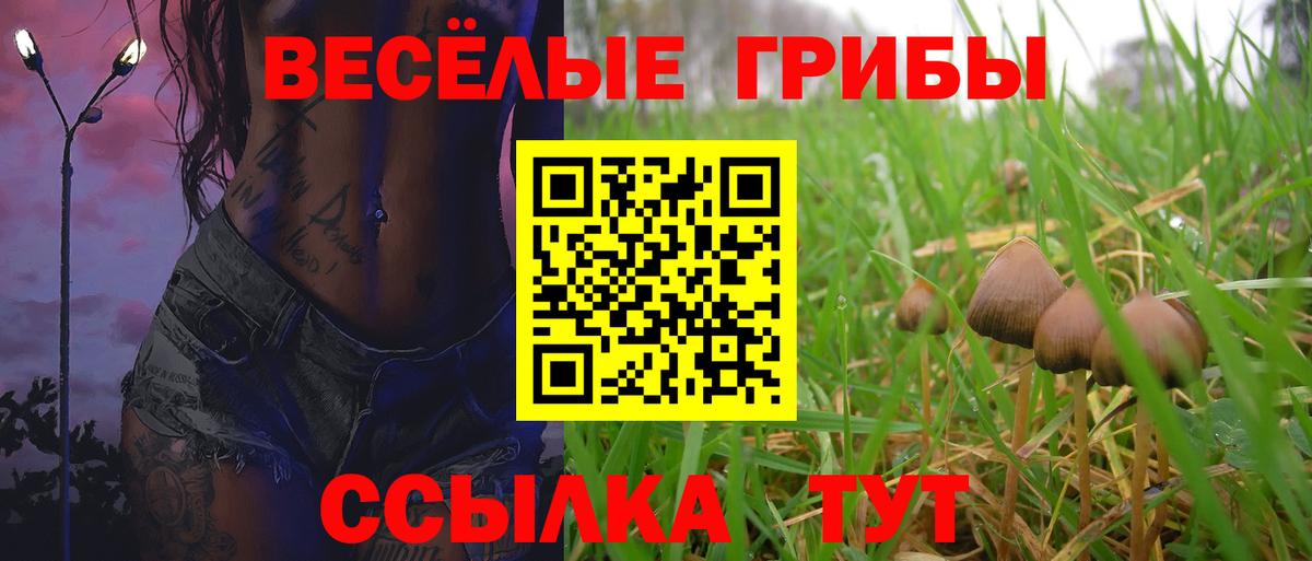 Галлюциногенные грибы ЛСД  Вход с VPN  Котлас 