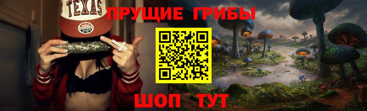 Галлюциногенные грибы GOLDEN TEACHER Котлас